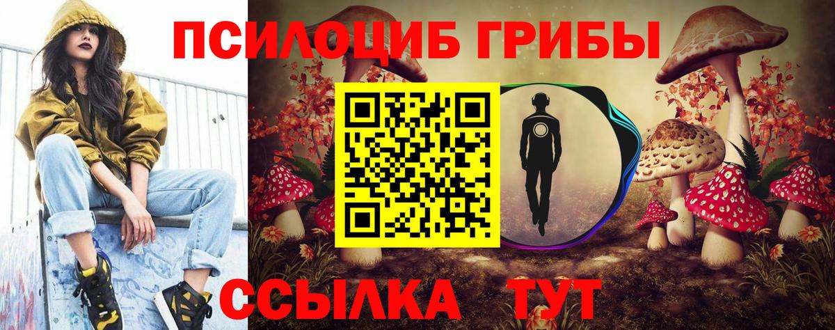 Псилоцибиновые грибы Psilocybe Нефтекумск
