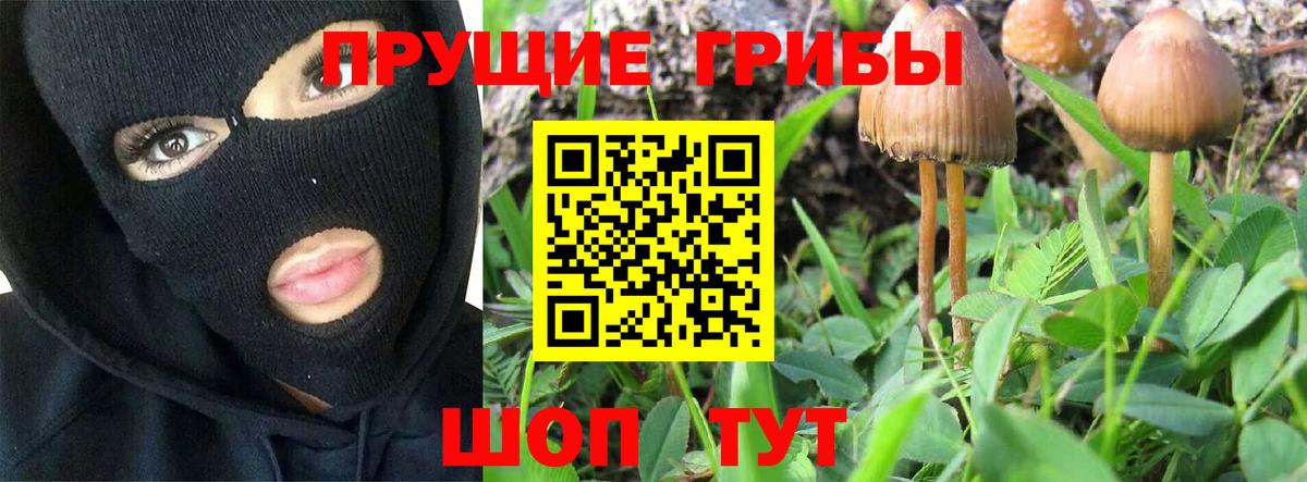 цены наркотик  Вход с VPN  Псилоцибиновые грибы ЛСД  Нефтекумск  Галлюциногенные грибы GOLDEN TEACHER 
